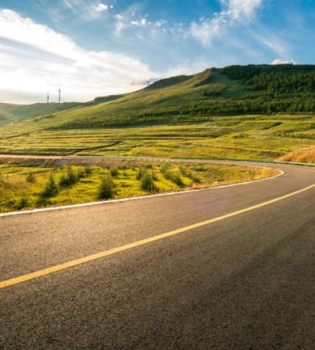 Grasslands and Road